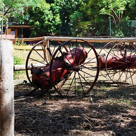 La Casa Del Molino De Viento Agaete (Gran Canaria)